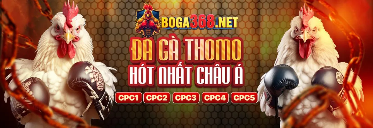 Chương trình VIP hm88 link với ưu đãi độc quyền
